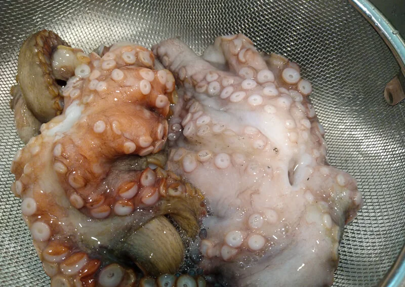 マダコの下処理