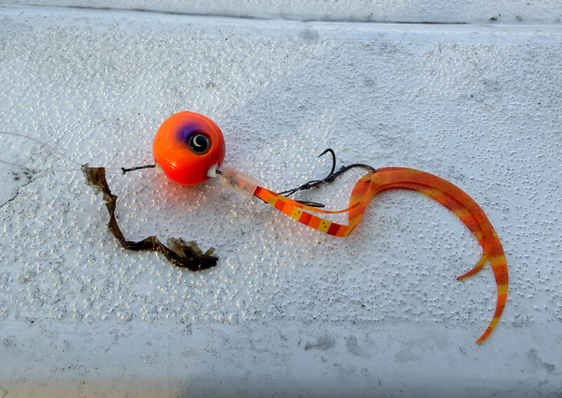 03_ 海苔オレンジ