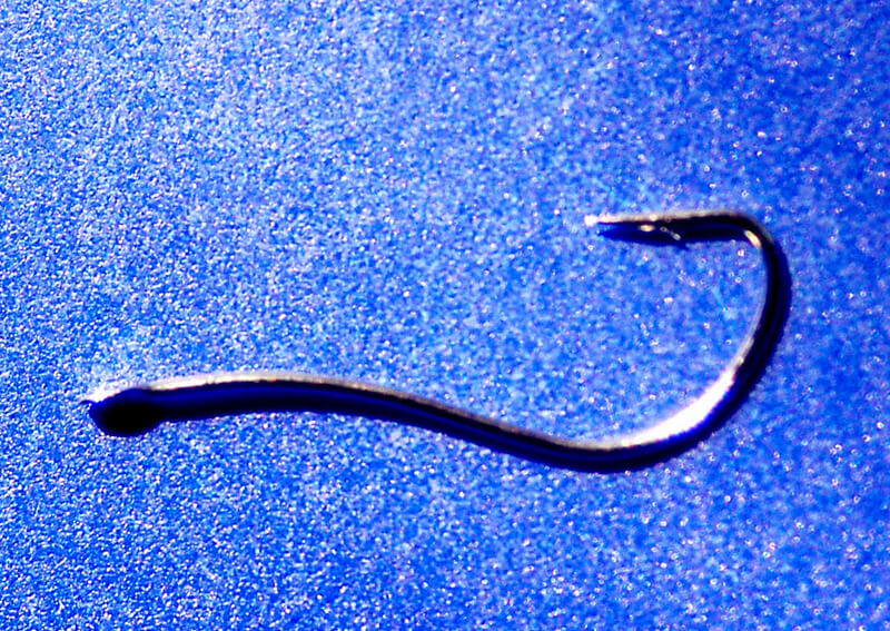 06_ ハリ先アップ