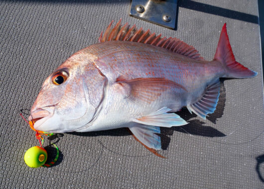 ナイト＆ディープ完全攻略！