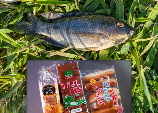 君は知っているか…？