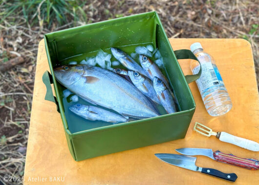 ダイソーの「キャンプバケツ」が便利！