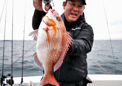 10_　マダイ釣果1