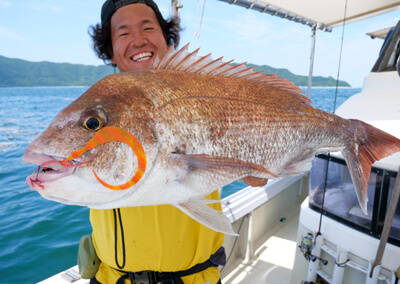 11_　マダイ釣果2