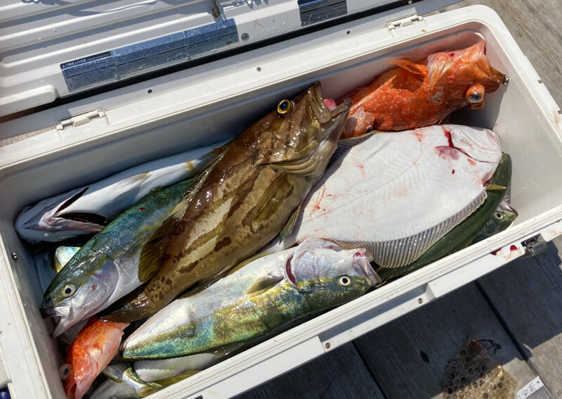 14_　クーラーボックス35L