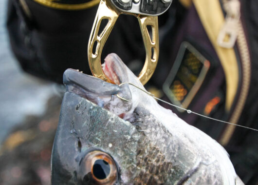 エサバリもルアーフックも丸わかり！