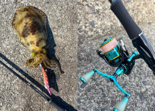 初心者がハマった！苦戦だらけの「エギング」体験記