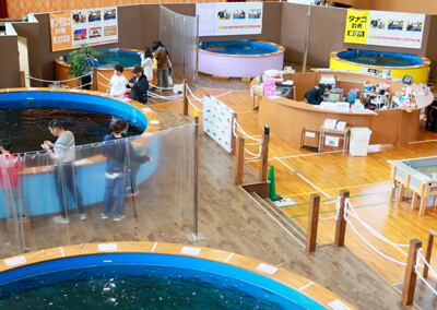 01_　体育館内全景（MAP用）