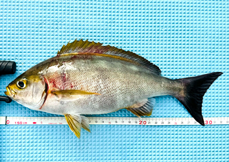 03_　image （1152）.png