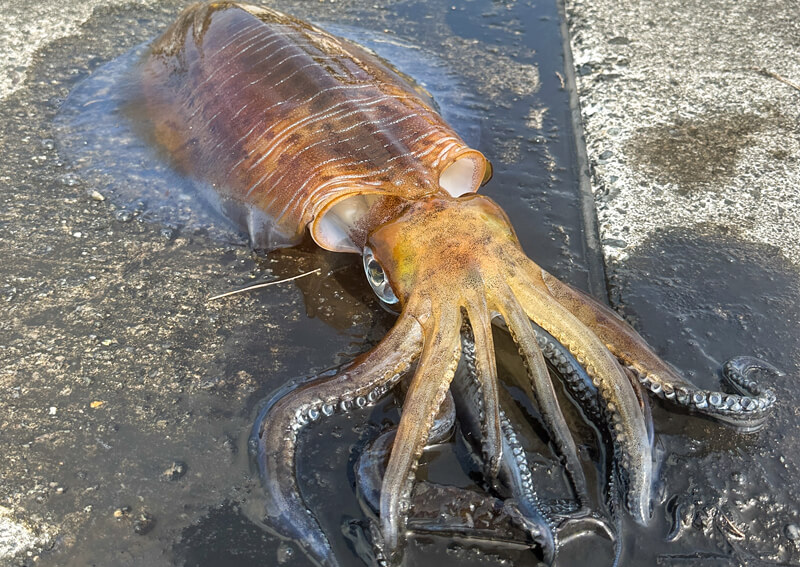 03_　モンスター降臨