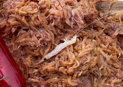 07_　image （1167）.png