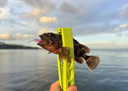 何度も訪れたくなる人気スポット「角島」