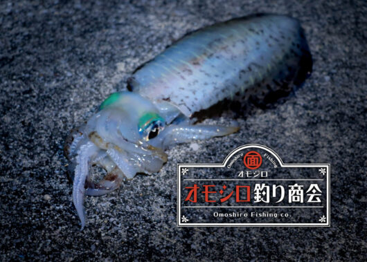 “冷蔵アジ”でコスパ最強！ラクしてねらう「アオリイカ釣り」