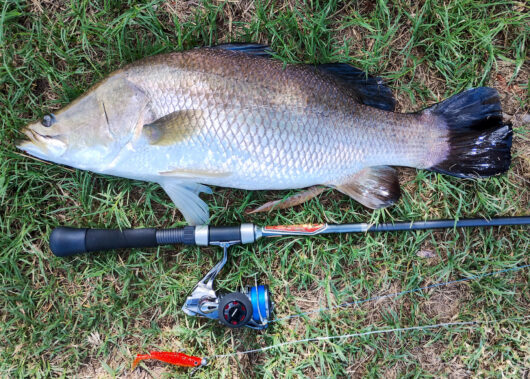 数千円のコンパクトな「汎用船竿」が、