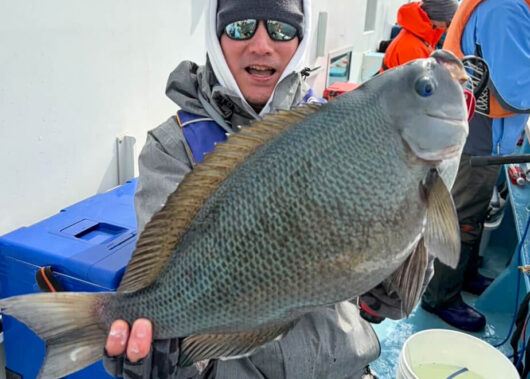 相模湾「LT五目」で極上イサキ連発！