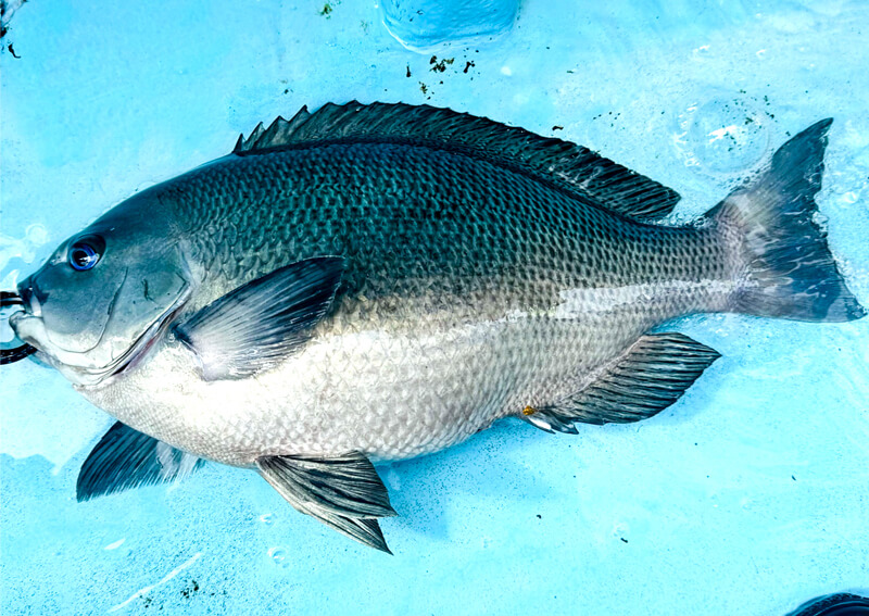 12_　image （1155）.png