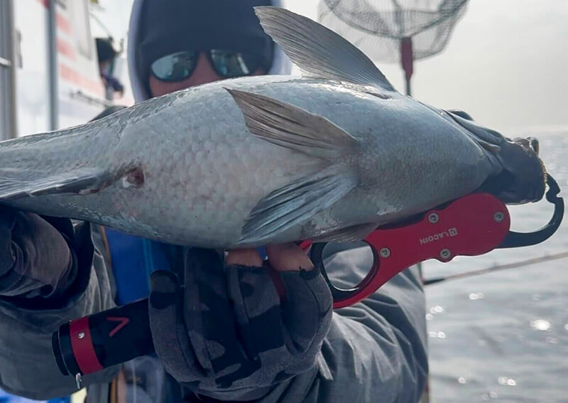 13_　image （1158）.png