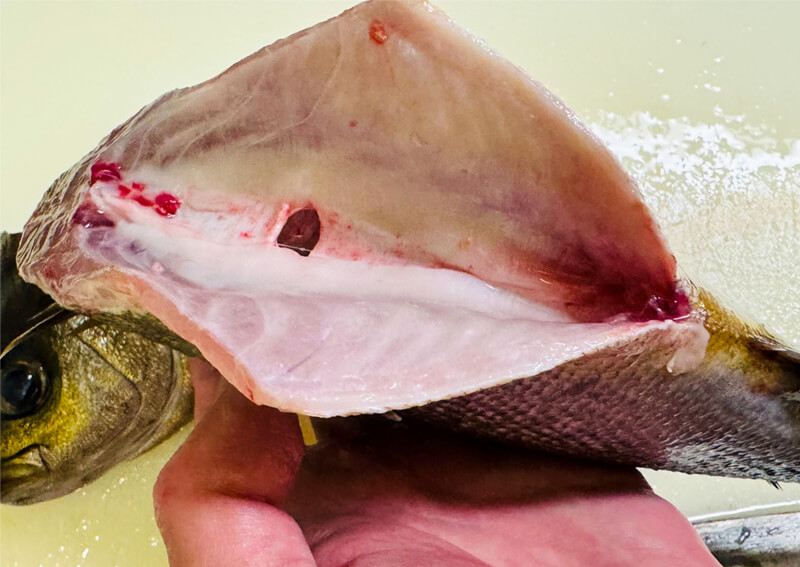 14_　image （1161）.png