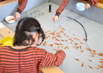 14_　金魚すくい