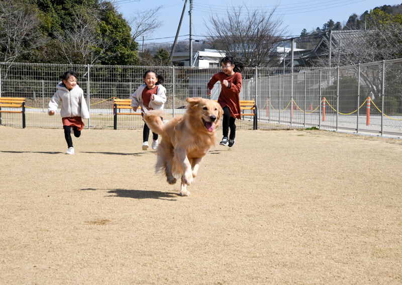 22_　ドッグラン