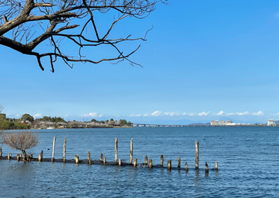 07_　琵琶湖大橋.jpg