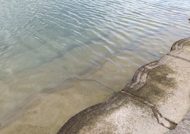 09_