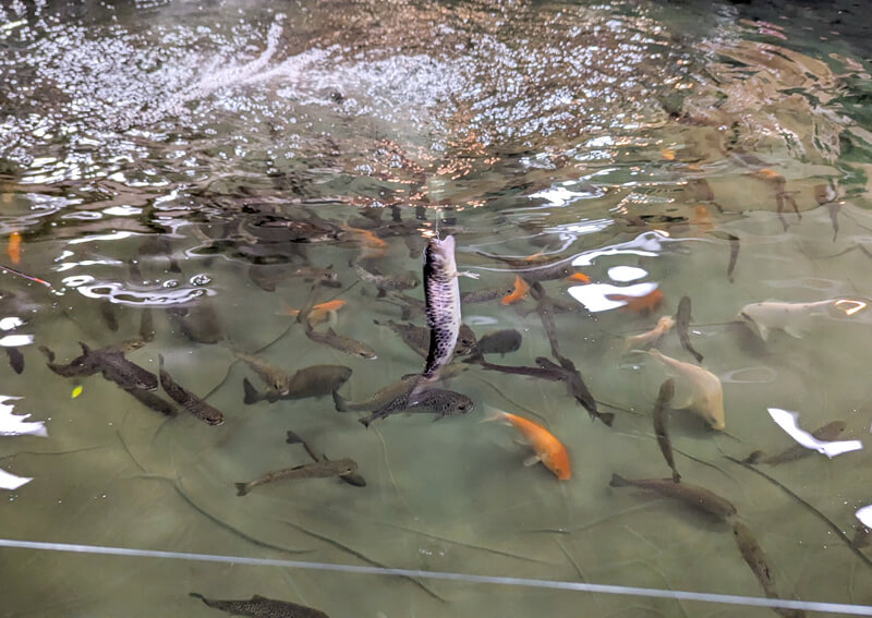 10_