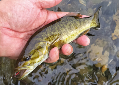 08_