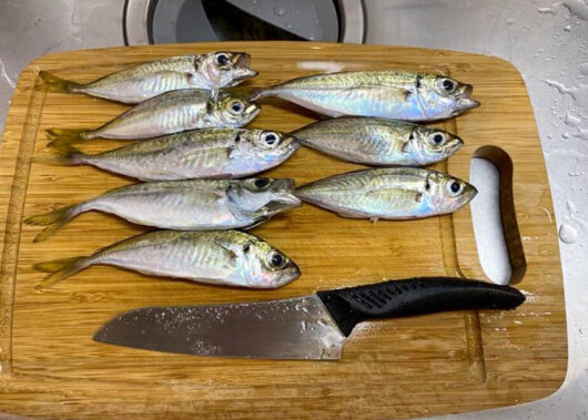 釣って終わりじゃない！