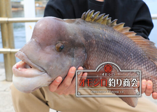 身近な堤防でモンスター出現!?