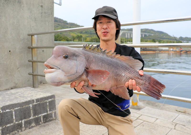 23_　コブダイ釣果