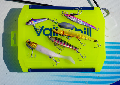 09_ lure
