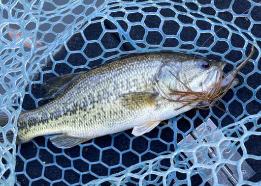 人が多い休日でも釣れる！