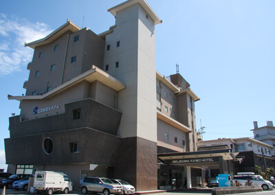01a