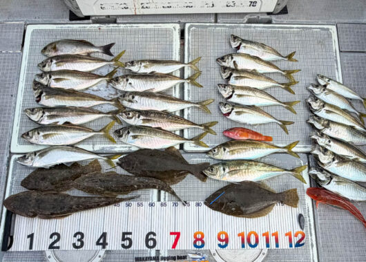 【和歌山発】初心者が「落し込み釣り」に初挑戦！