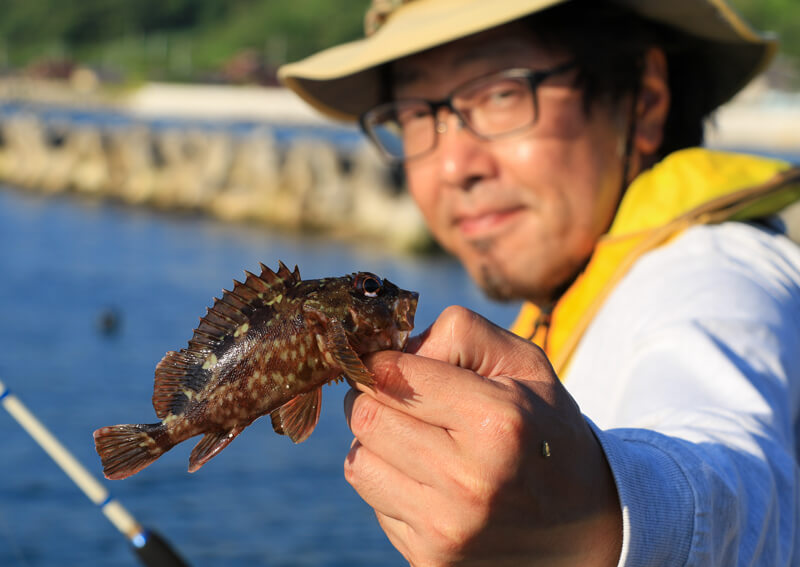 20_　ガシラ釣果