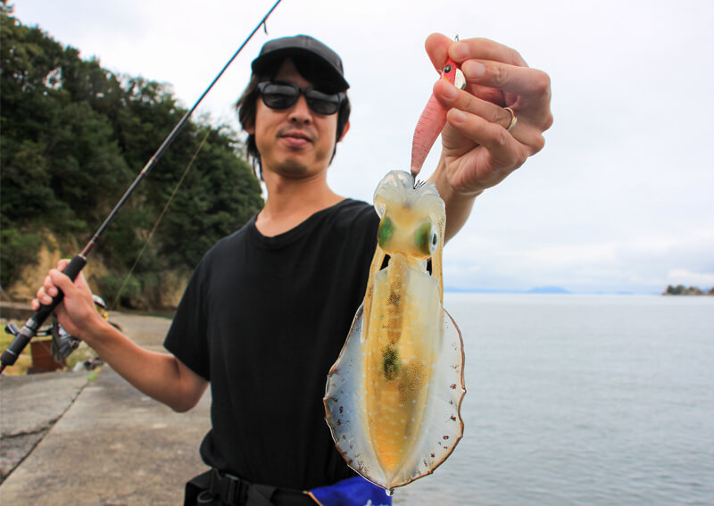 08_　アオリイカ釣果