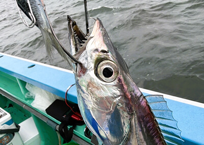 08_　image （126）.png
