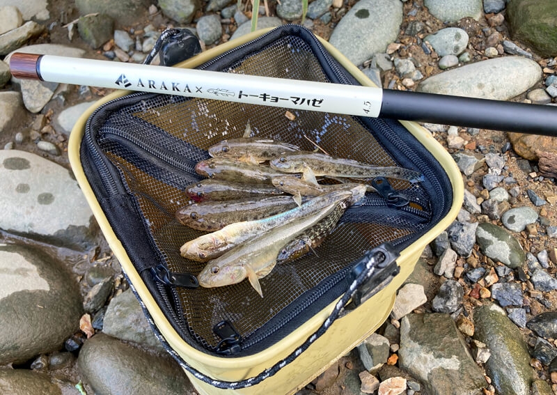 09_