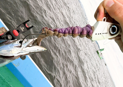 10_　image （123）.png